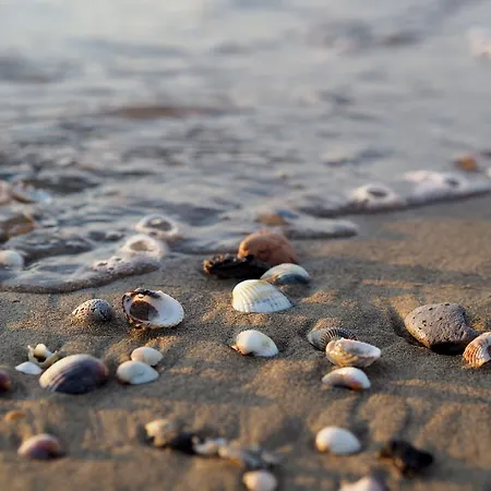 Escape - Flat With Balcony