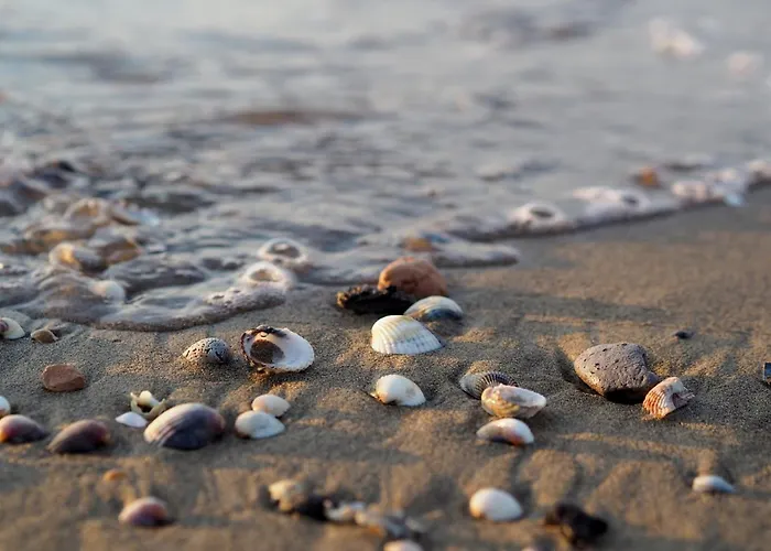 Escape - Flat With Balcony * Bibione